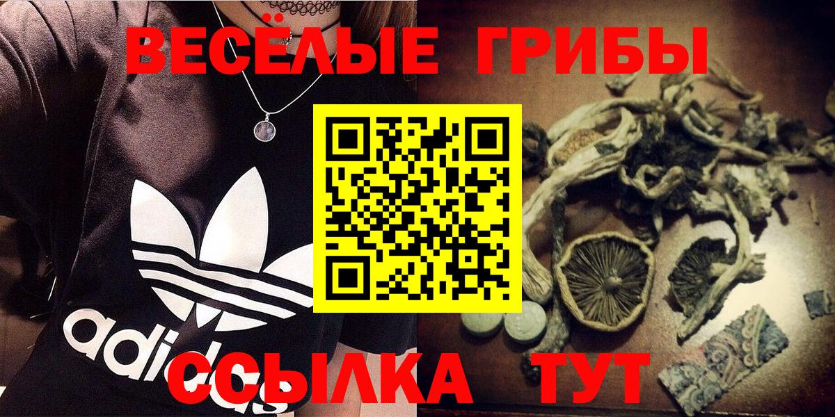 Псилоцибиновые грибы Psilocybine cubensis Ефремов