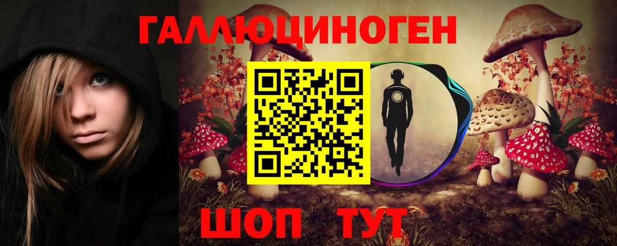 Галлюциногенные грибы Psilocybe  где купить наркоту  Ефремов  Вход с VPN 